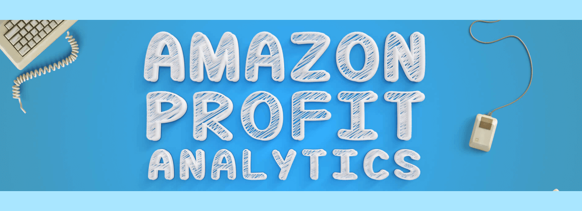 Amazon profits analytics